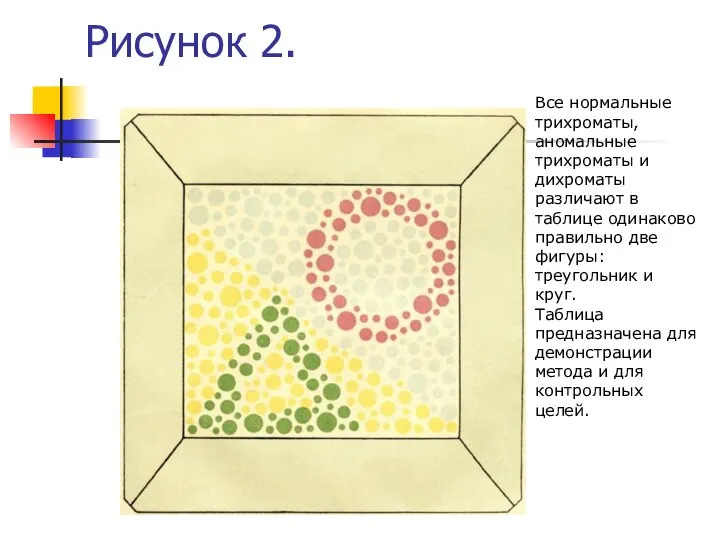 Рисунок 2. Все нормальные трихроматы, аномальные трихроматы и дихроматы различают в