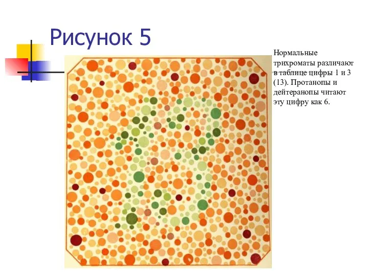 Рисунок 5 Нормальные трихроматы различают в таблице цифры 1 и 3