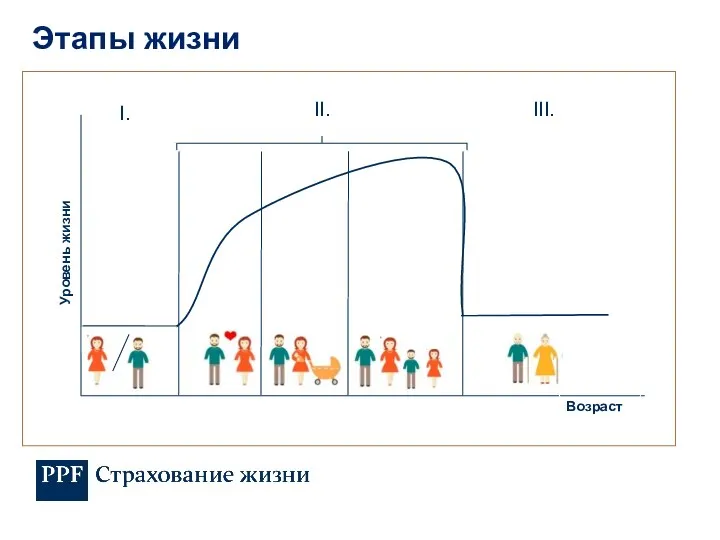 Этапы жизни