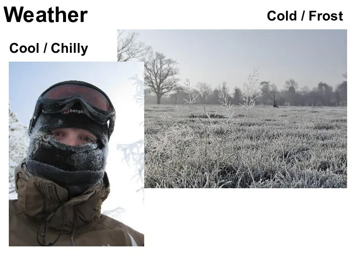 Weather Cool / Chilly Cold / Frost