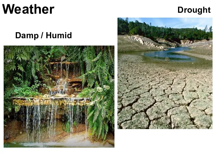 Weather Drought Damp / Humid