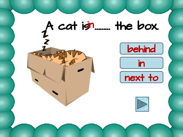 A cat is ……… the box. behind in next to in