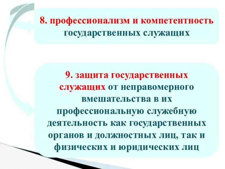 8. профессионализм и компетентность государственных служащих 9. защита государственных служащих от