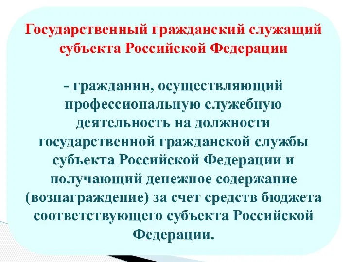 Государственный гражданский служащий субъекта Российской Федерации - гражданин, осуществляющий профессиональную служебную