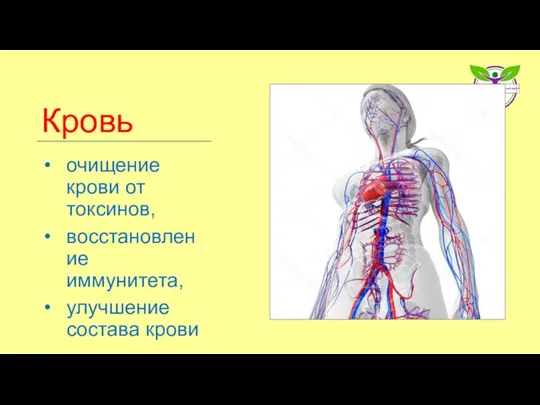 Кровь очищение крови от токсинов, восстановление иммунитета, улучшение состава крови