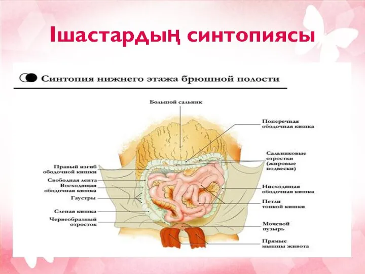 Ішастардың синтопиясы