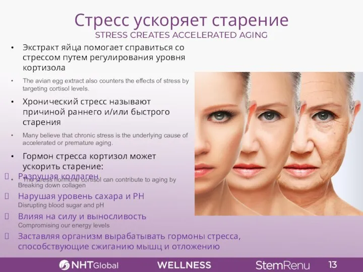 Стресс ускоряет старение STRESS CREATES ACCELERATED AGING Экстракт яйца помогает справиться