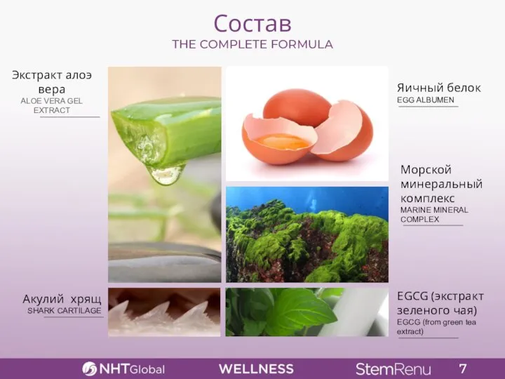 Состав THE COMPLETE FORMULA EGCG (экстракт зеленого чая) EGCG (from green