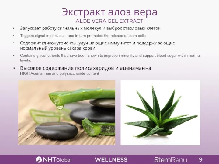 9 Экстракт алоэ вера ALOE VERA GEL EXTRACT Запускает работу сигнальных