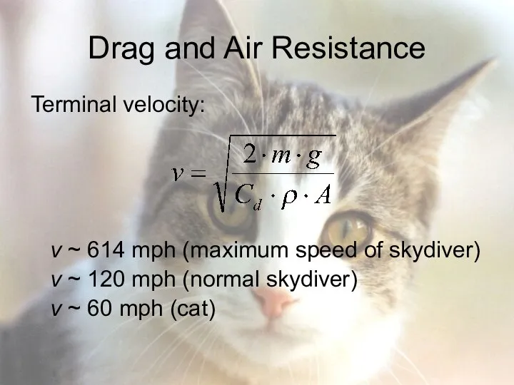 Drag and Air Resistance Terminal velocity: v ~ 614 mph (maximum