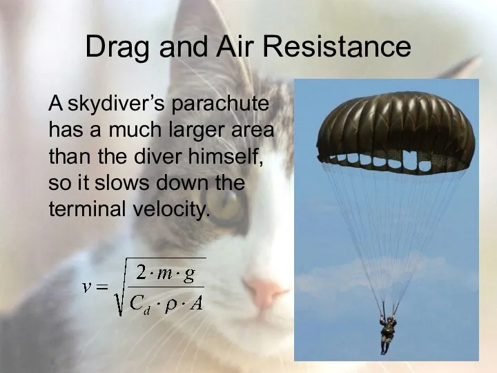 Drag and Air Resistance A skydiver’s parachute has a much larger
