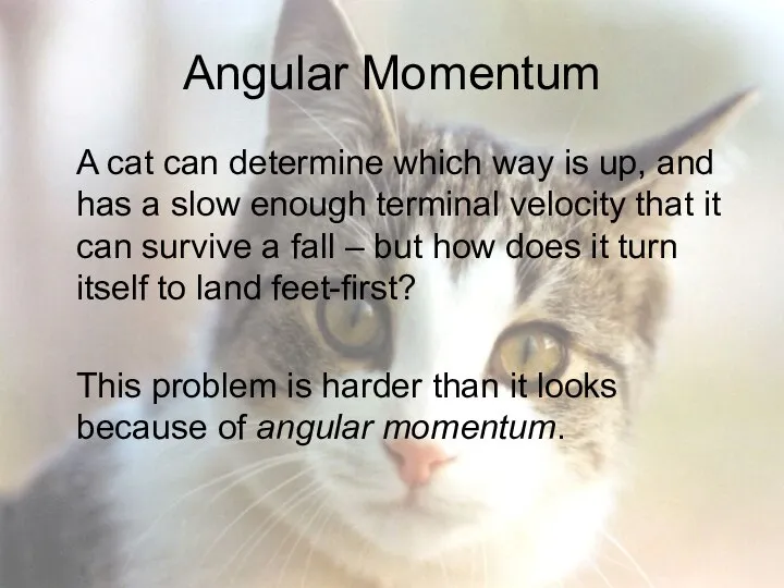 Angular Momentum A cat can determine which way is up, and