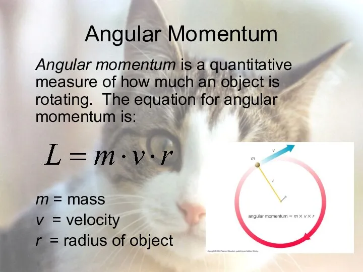 Angular Momentum Angular momentum is a quantitative measure of how much