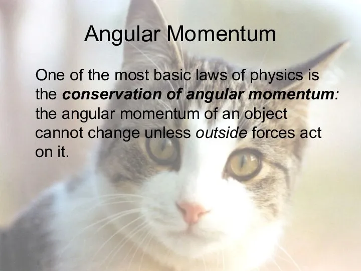 Angular Momentum One of the most basic laws of physics is