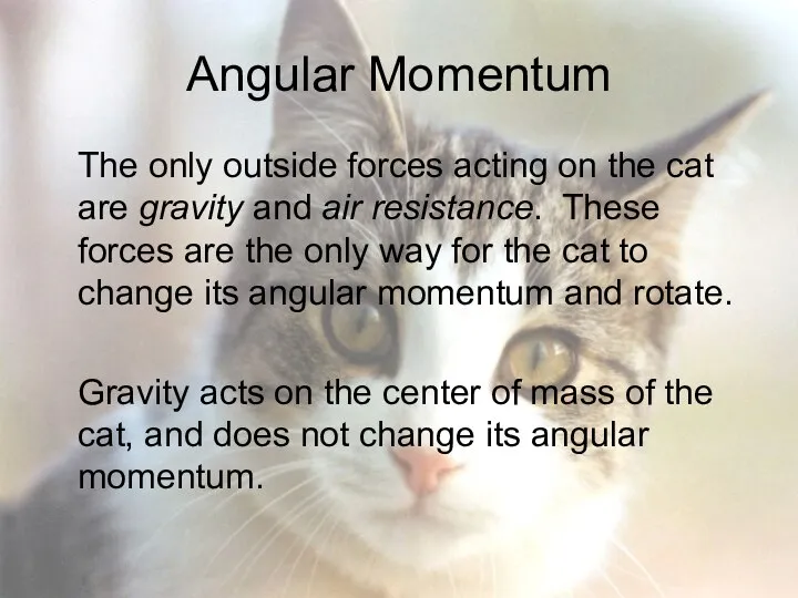 Angular Momentum The only outside forces acting on the cat are