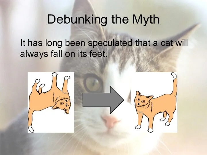 Debunking the Myth It has long been speculated that a cat