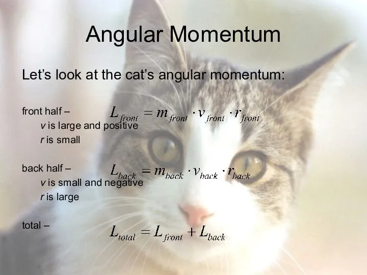 Angular Momentum Let’s look at the cat’s angular momentum: front half