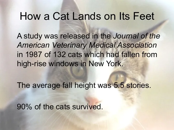 How a Cat Lands on Its Feet A study was released