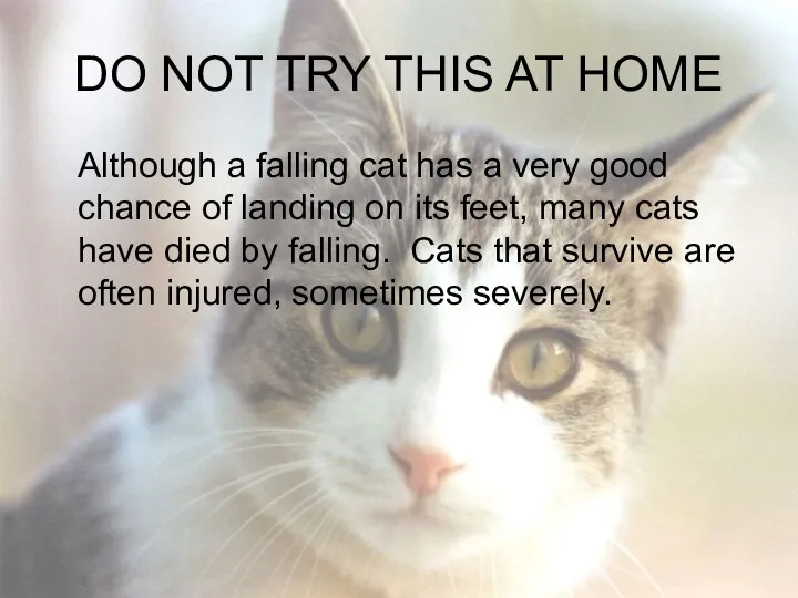 DO NOT TRY THIS AT HOME Although a falling cat has