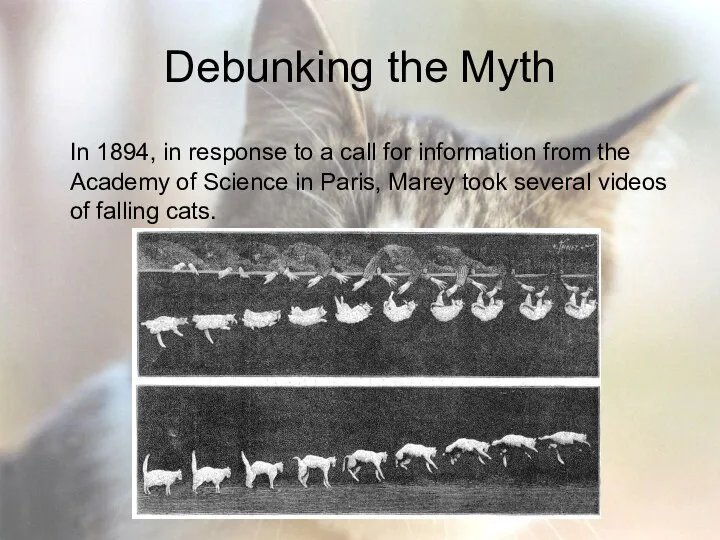 Debunking the Myth In 1894, in response to a call for