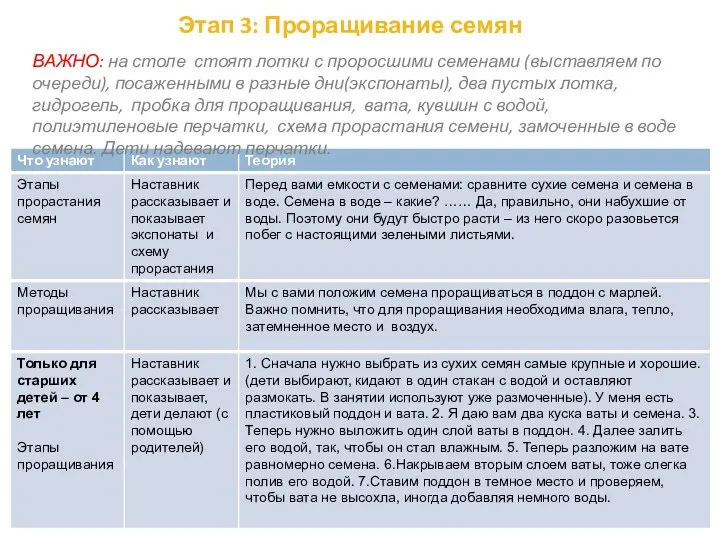 Этап 3: Проращивание семян ВАЖНО: на столе стоят лотки с проросшими