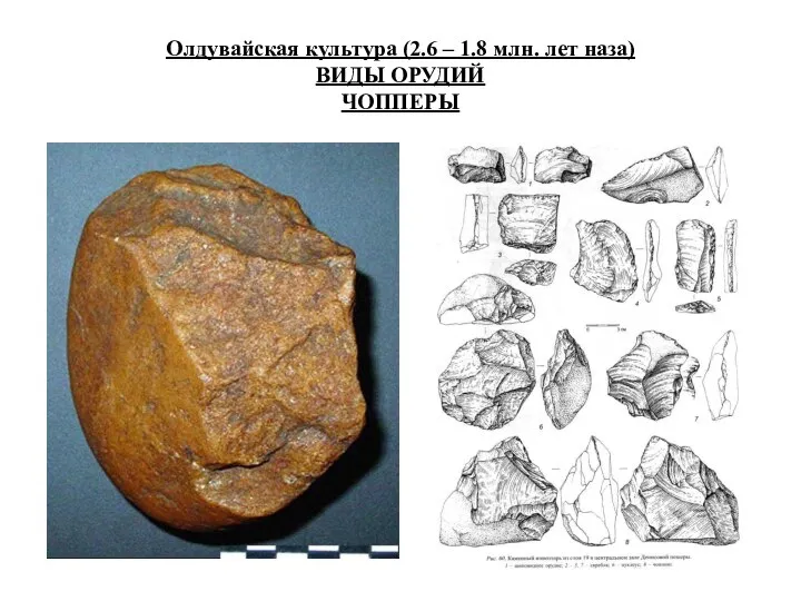 Олдувайская культура (2.6 – 1.8 млн. лет наза) ВИДЫ ОРУДИЙ ЧОППЕРЫ
