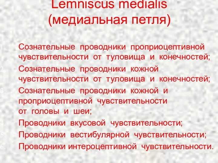 Lemniscus medialis (медиальная петля) Сознательные проводники проприоцептивной чувствительности от туловища и