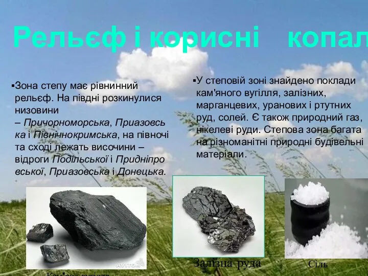 Зона степу має рівнинний рельєф. На півдні розкинулися низовини – Причорноморська,