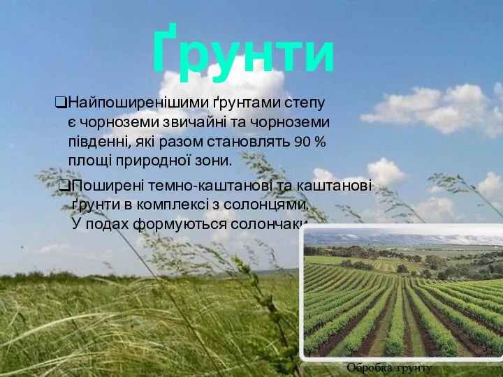 Ґрунти Найпоширенішими ґрунтами степу є чорноземи звичайні та чорноземи південні, які