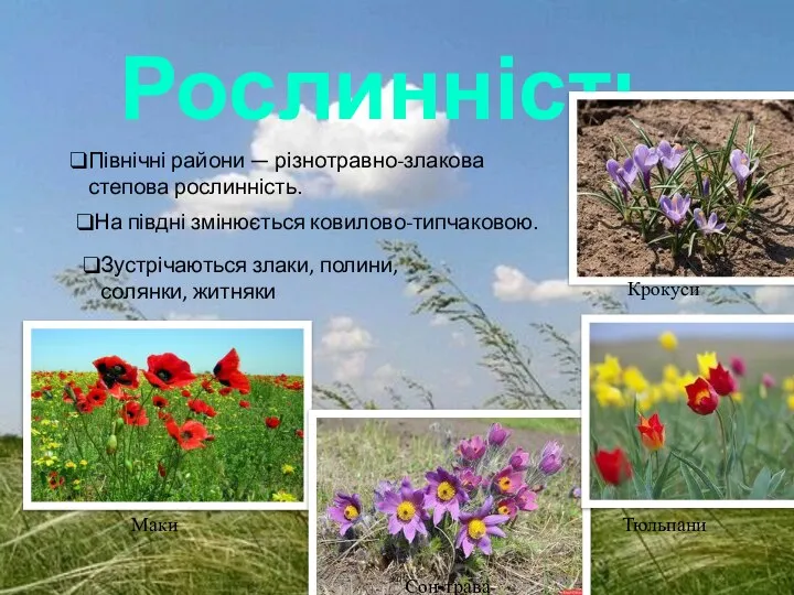 Рослинність Північні райони — різнотравно-злакова степова рослинність. На півдні змінюється ковилово-типчаковою.