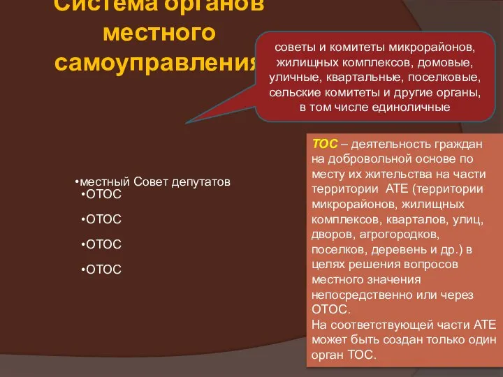 Система органов местного самоуправления местный Совет депутатов ОТОС ОТОС ОТОС ОТОС