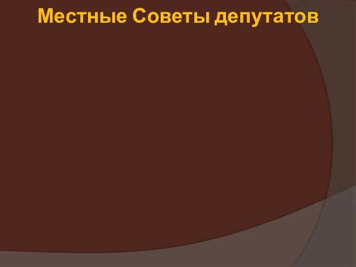 Местные Советы депутатов