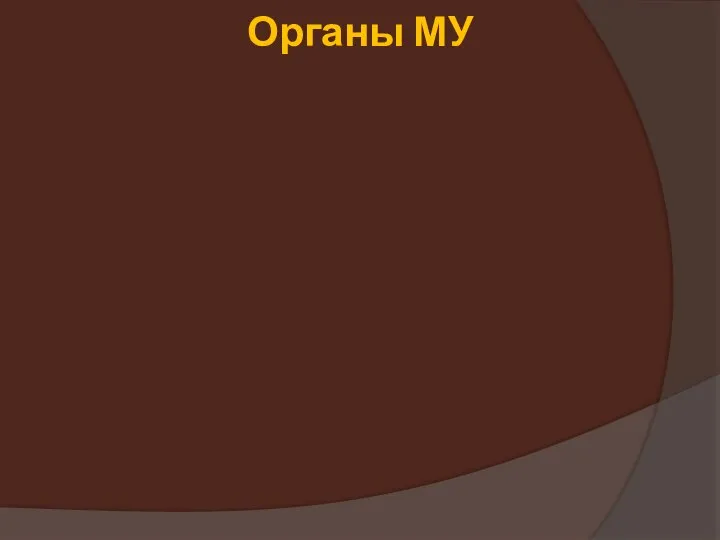 Органы МУ