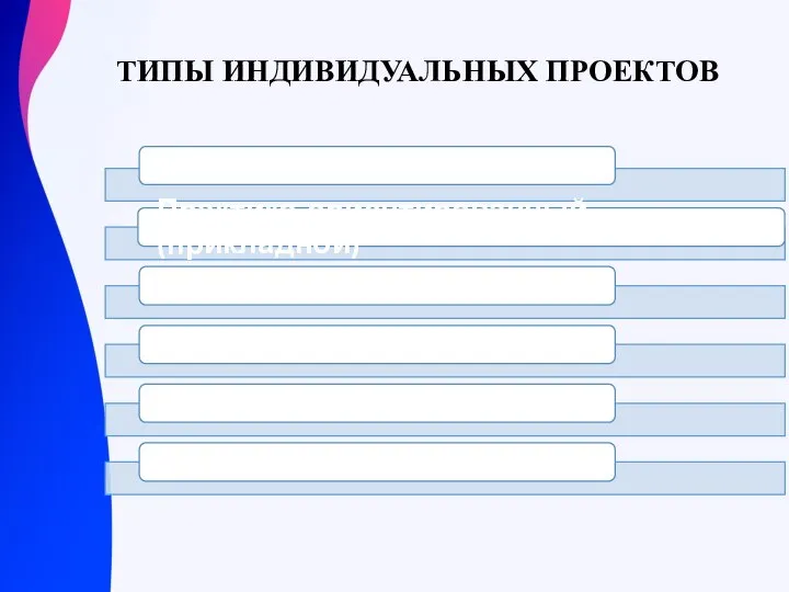 ТИПЫ ИНДИВИДУАЛЬНЫХ ПРОЕКТОВ