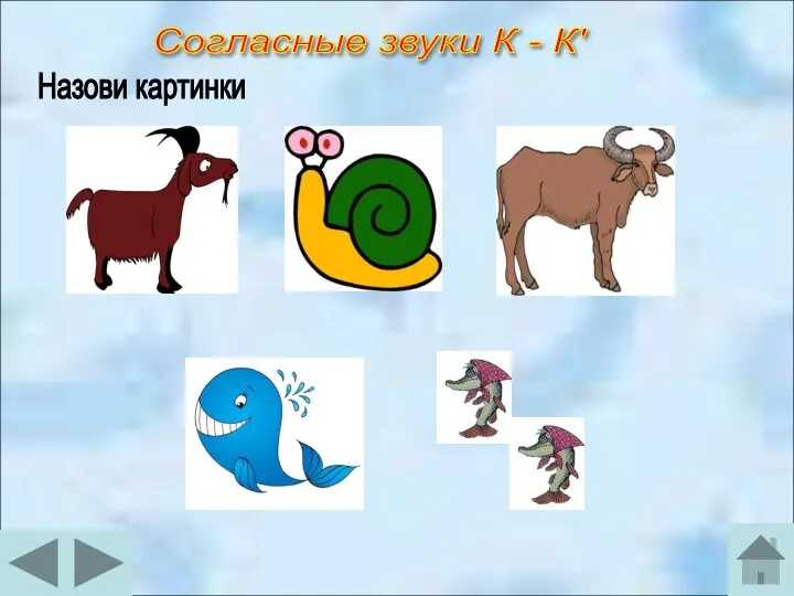 Согласные звуки К - К' Назови картинки