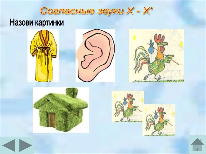 Согласные звуки Х - Х' Назови картинки