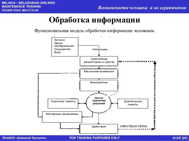 FOR TRAINING PURPOSES ONLY Обработка информации Функциональная модель обработки информации человеком