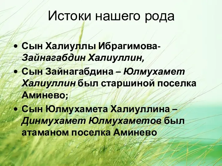 Истоки нашего рода Сын Халиуллы Ибрагимова- Зайнагабдин Халиуллин, Сын Зайнагабдина –