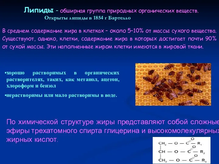 Липиды – обширная группа природных органических веществ. Открыты липиды в 1854