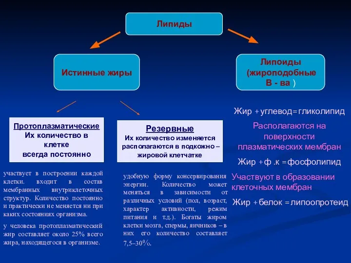 Липиды Истинные жиры Липоиды (жироподобные В - ва ) Протоплазматические Их