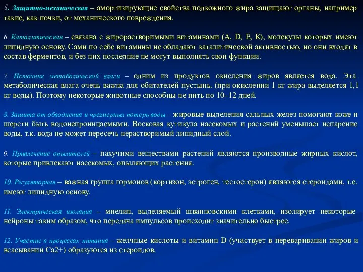 5. Защитно-механическая – амортизирующие свойства подкожного жира защищают органы, например такие,