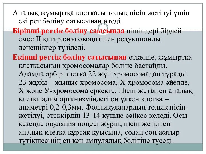 Аналық жұмыртқа клеткасы толық пісіп жетілуі үшін екі рет бөліну сатысынан