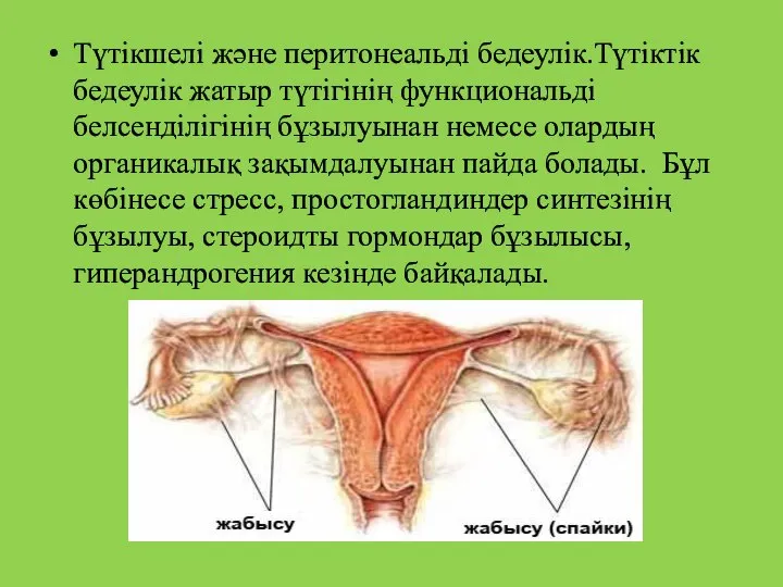 Түтікшелі және перитонеальді бедеулік.Түтіктік бедеулік жатыр түтігінің функциональді белсенділігінің бұзылуынан немесе