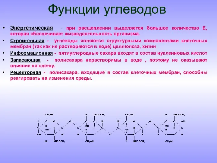 Функции углеводов Энергетическая - при расщеплении выделяется большое количество Е, которая