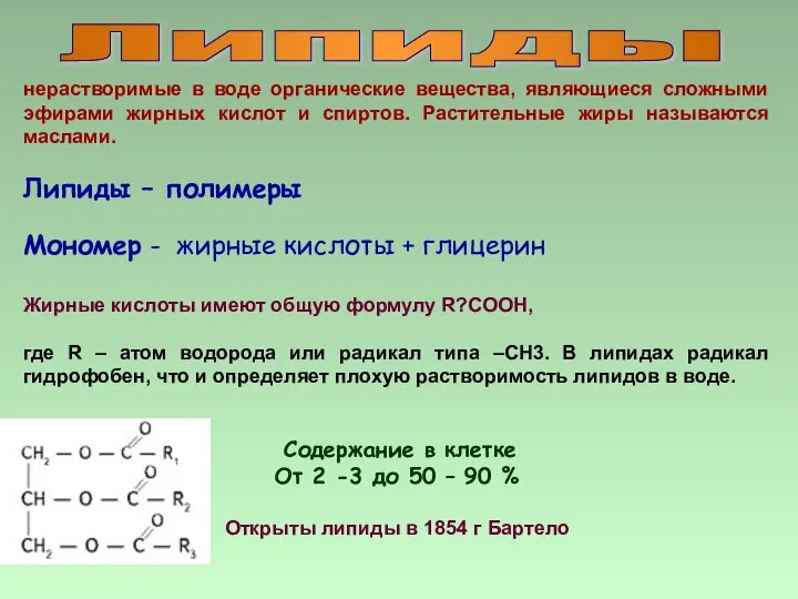 Липиды нерастворимые в воде органические вещества, являющиеся сложными эфирами жирных кислот