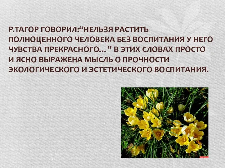 Р.ТАГОР ГОВОРИЛ:“НЕЛЬЗЯ РАСТИТЬ ПОЛНОЦЕННОГО ЧЕЛОВЕКА БЕЗ ВОСПИТАНИЯ У НЕГО ЧУВСТВА ПРЕКРАСНОГО…”