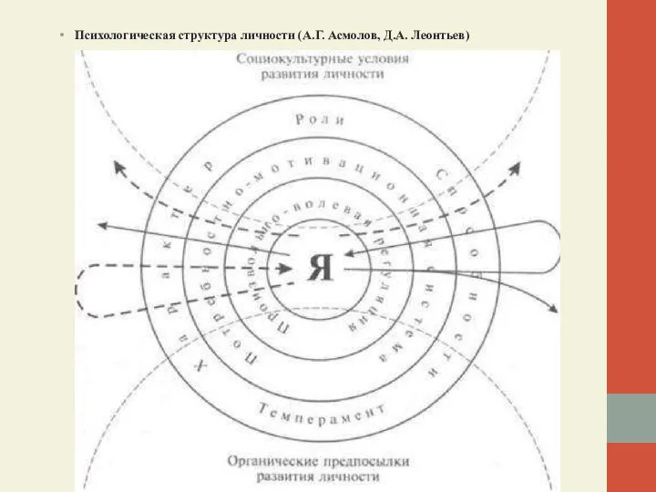 Психологическая структура личности (А.Г. Асмолов, Д.А. Леонтьев)