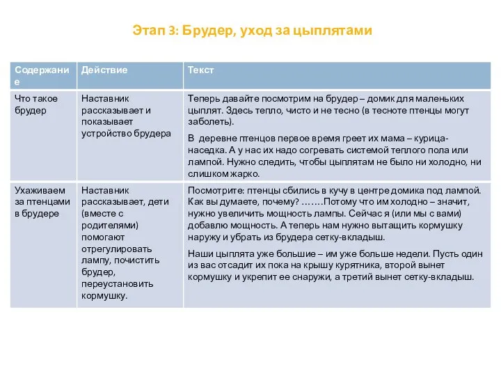 Этап 3: Брудер, уход за цыплятами