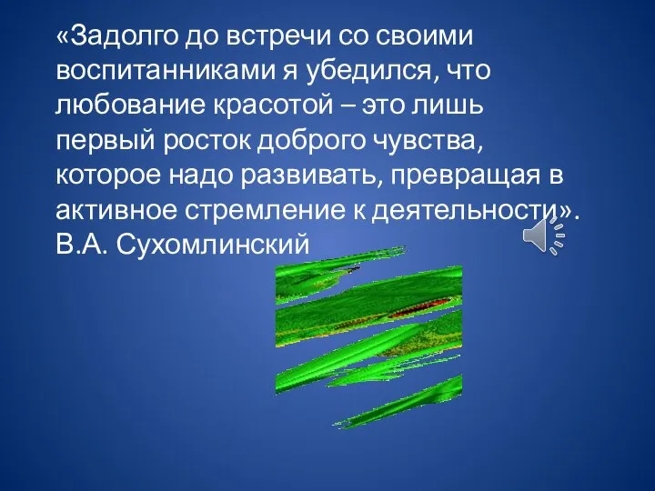 «Задолго до встречи со своими воспитанниками я убедился, что любование красотой