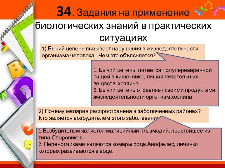 34. Задания на применение биологических знаний в практических ситуациях 1) Бычий